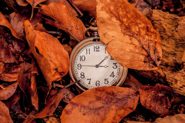 Relógio no outono — Fotografia de Stock