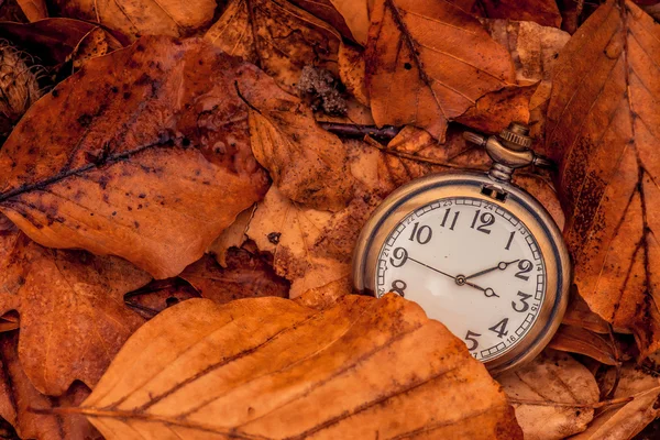 Reloj en hojas de otoño — Foto de Stock