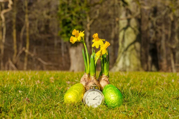 Wielkanocny czas żonkile i jaj — Zdjęcie stockowe