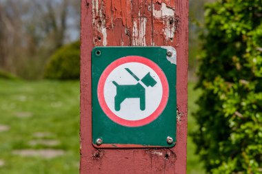 Bir köpek tasma ile kayıt