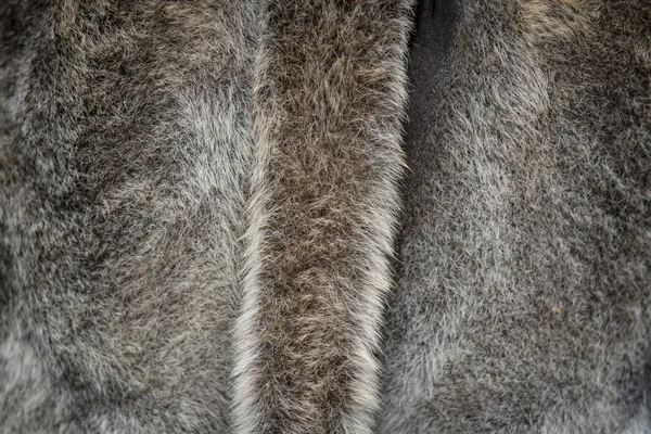 Fur background with a tail — Stock Photo, Image