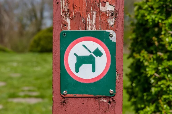 Podpisać z psem w smyczy — Zdjęcie stockowe