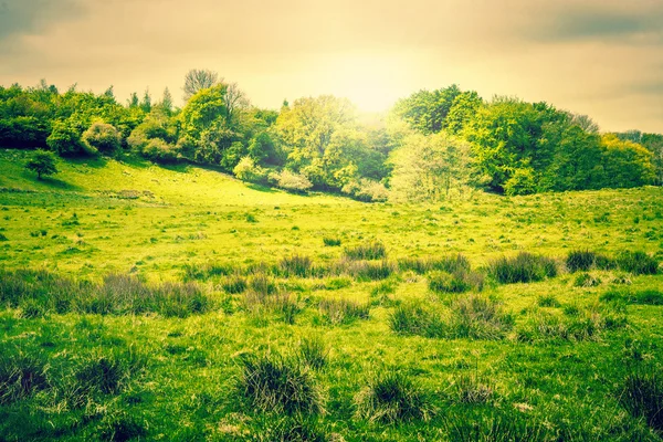 Countryside landscape with sunshine — 스톡 사진