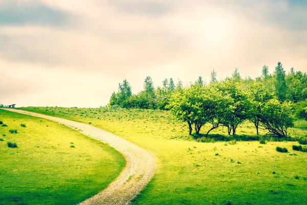 Path on a green field — Stok fotoğraf