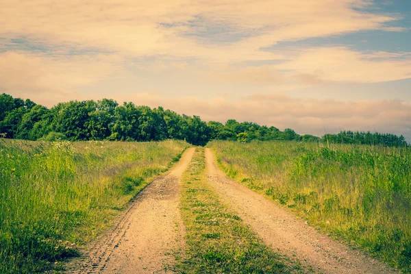 Camino en un campo — Foto de Stock