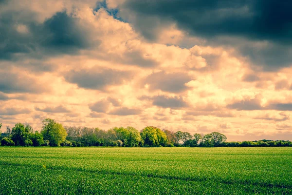 Dunkle Wolken über einem Feld — Stockfoto