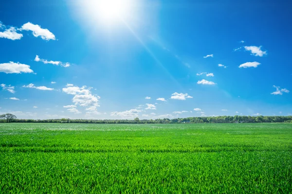 Platteland veld met zon — Stockfoto
