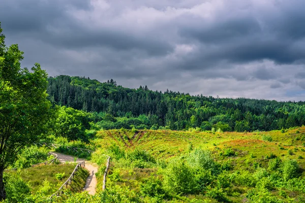 Natureza na Dinamarca com nuvens escuras — Fotografia de Stock