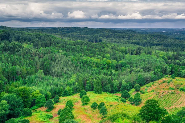 Paisagem dinamarquesa com árvores verdes — Fotografia de Stock