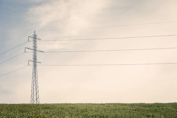 Tall pylons on a green field — Stock Photo, Image