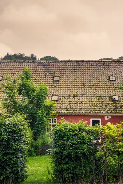 Hedge op een oud huis — Stockfoto