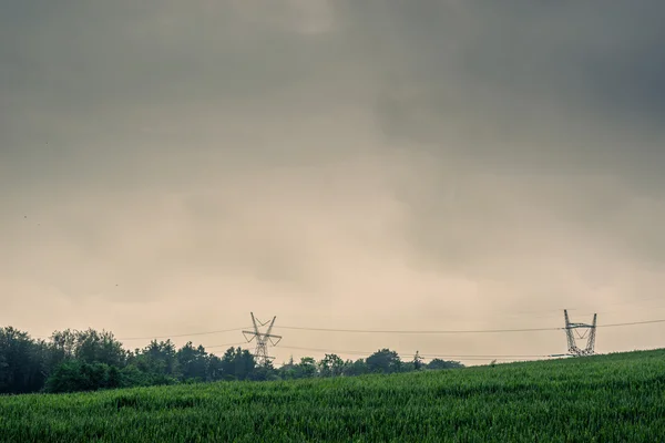 Pylons em um campo verde — Fotografia de Stock