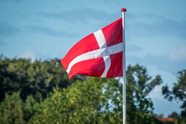 Flag of Denmark in the wind clipart