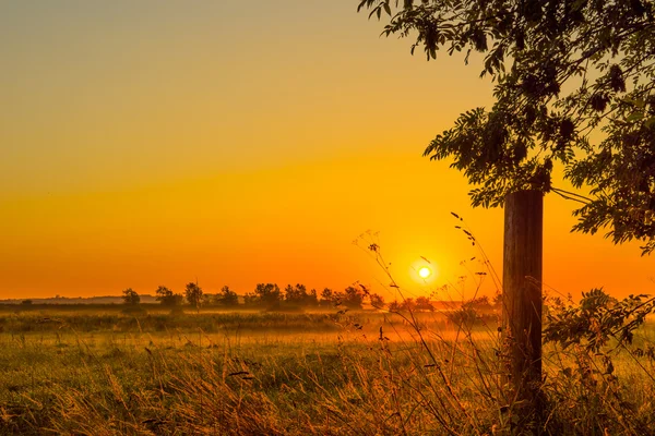 Amanecer sobre un campo brumoso — Foto de Stock