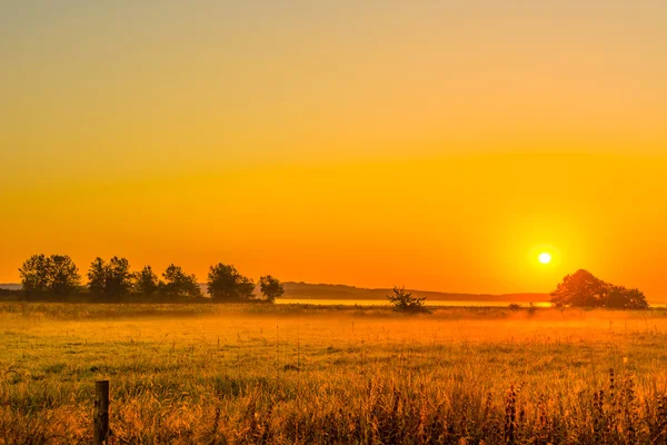 Salida del sol sobre un campo con niebla — Foto de Stock