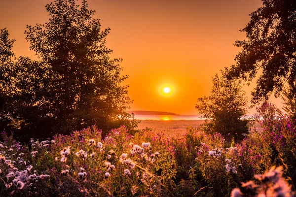 Salida del sol sobre un lago en un campo — Foto de Stock