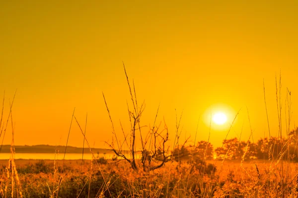 Salida del sol en un paisaje rural — Foto de Stock