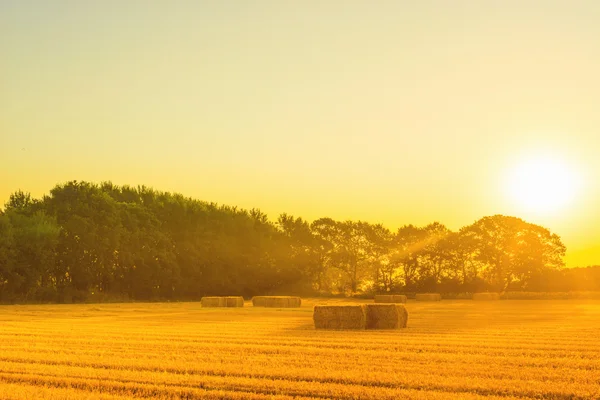 Gröna landskapet med halm balar — Stockfoto