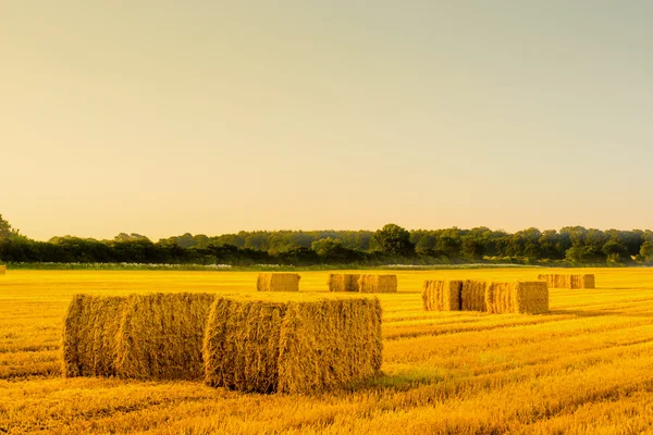 Palha fardos em uma paisagem rural — Fotografia de Stock