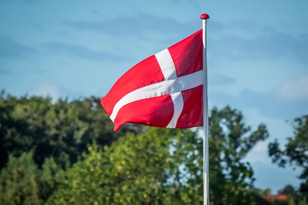 Flaga Danii na wietrze — Zdjęcie stockowe