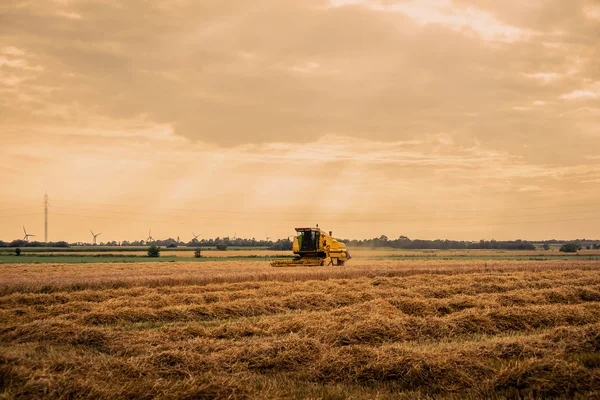 Harvester op bijgesneden veld — Stockfoto