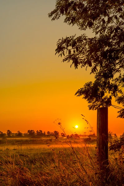 Схід сонця в сільській місцевості рано вранці — стокове фото