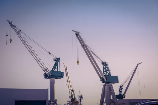 Kranar på en frakt harbor — Stockfoto