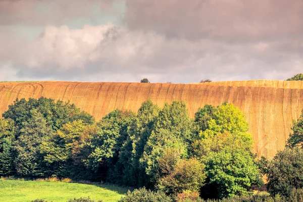 Landwirtschaftliche Hangfelder mit grünen Bäumen — Stockfoto