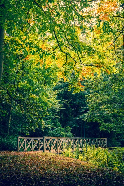 Herbstliche Landschaft mit einer Brücke — Stockfoto