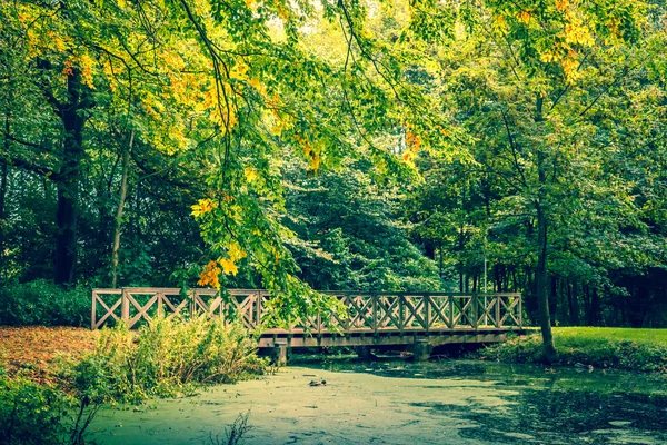 秋天森林里的桥 — 图库照片