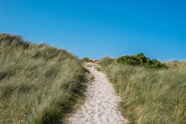 Strand út zöld fű — Stock Fotó