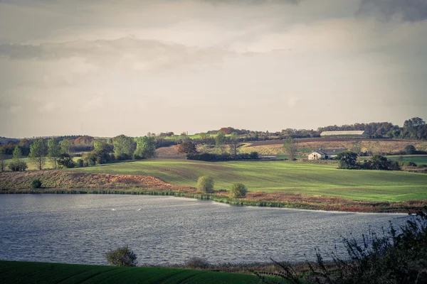 Gröna landskapet med en gård och en sjö — Stockfoto