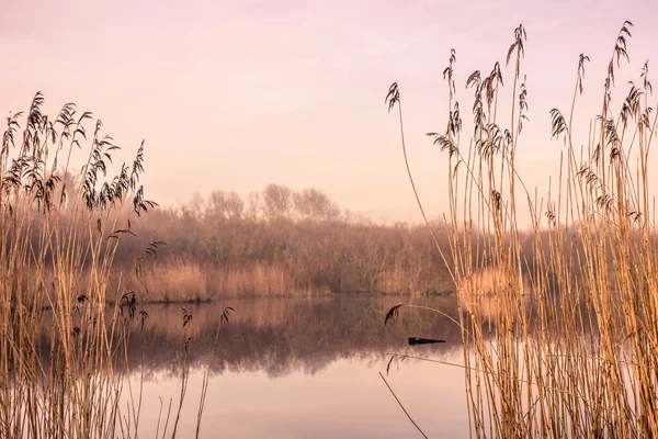 Идиллическое озеро осенью — стоковое фото