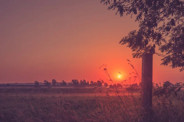 एक ग्रामीण क्षेत्र में सुंदर सूर्यास्त — स्टॉक फ़ोटो, इमेज