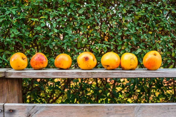 Las manzanas en una fila — Foto de Stock