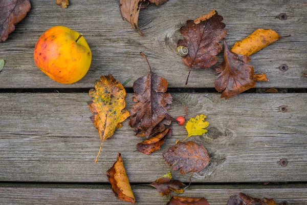 Fond en bois avec pomme d'automne — Photo