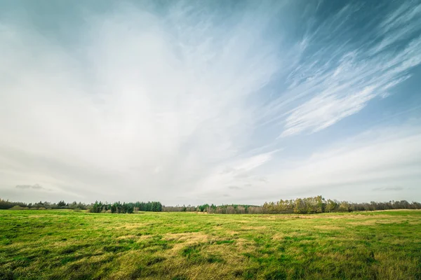 Gröna fält i höstsäsongen — Stockfoto