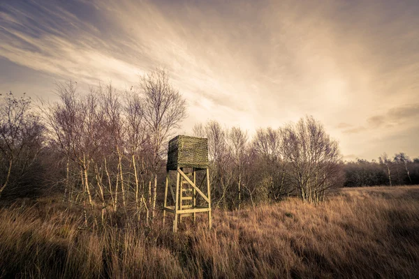 Torre di caccia nella natura ruvida — Foto Stock