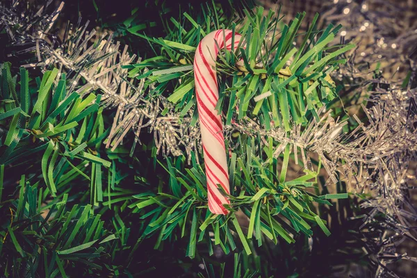 Suikerriet opknoping op een kerstboom — Stockfoto