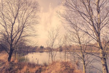 Ördekler ile pastoral Gölü