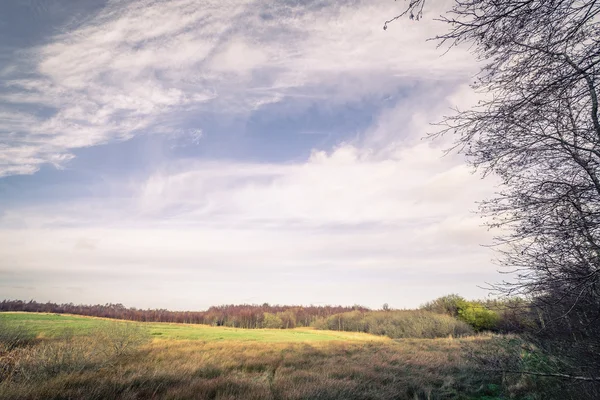 Paisagem rural com campos no outono — Fotografia de Stock