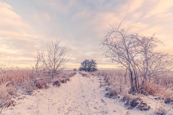 Snowy winter landscape with a path — Stock Photo, Image