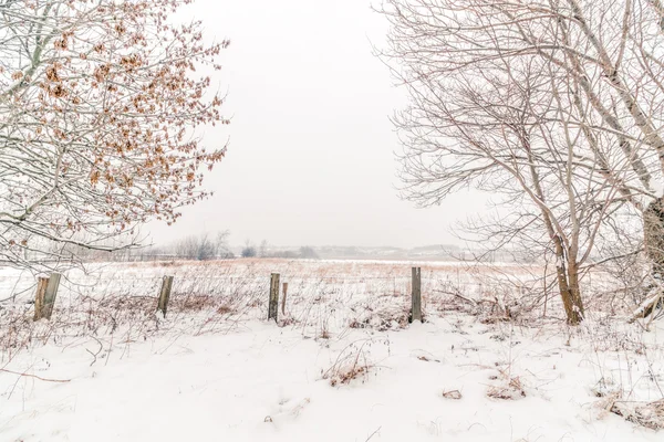 Paysage d'hiver à la campagne avec une clôture — Photo