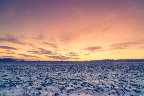 Field covered with snow — Stock Photo, Image