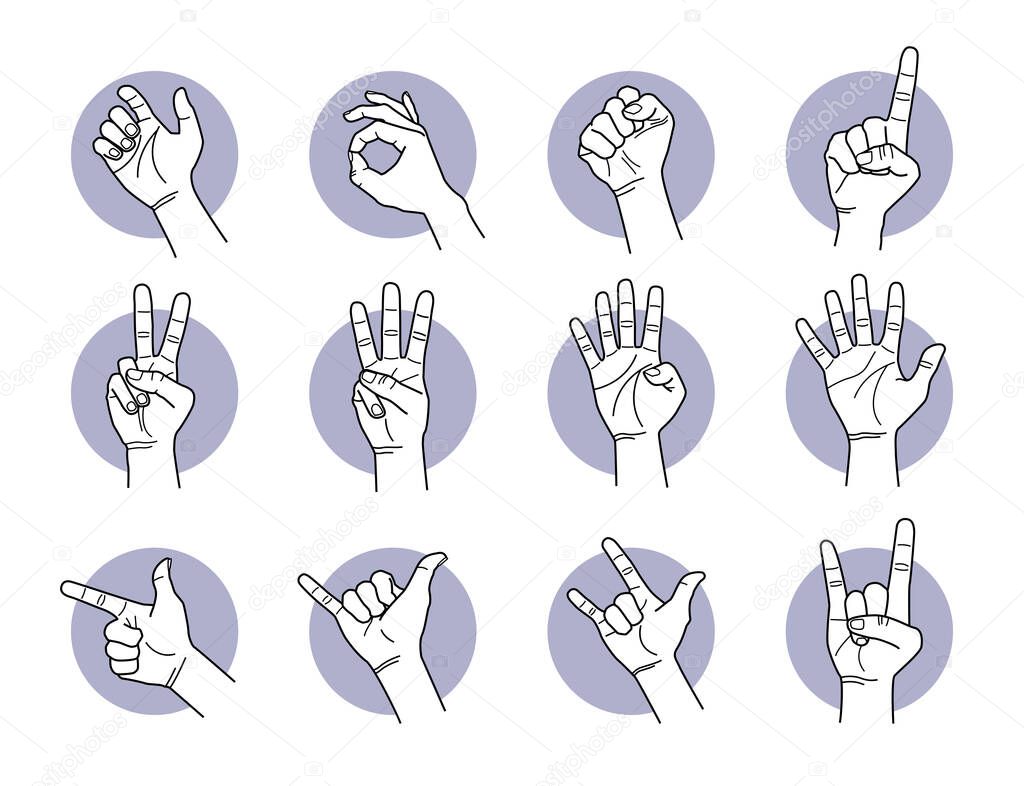 Hand and finger gestures. Vector illustrations of different hand signals and poses. 
