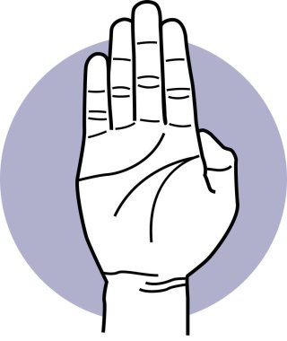 El ve avuç içi hareketleri. Çeşitli el ve el hareketleri pozlarının vektör çizimleri.