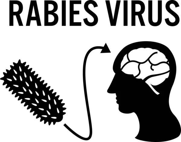 Ilustración Vectorial Minimalista Del Concepto Virus Rabia — Archivo Imágenes Vectoriales