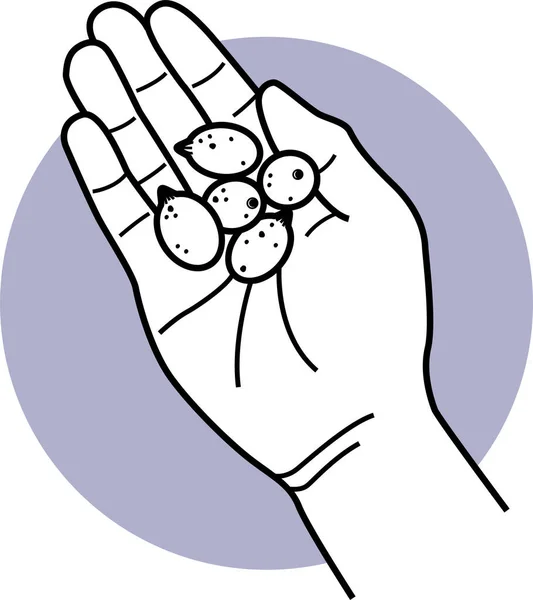 Minimalistyczna Ilustracja Wektora Ludzkiej Ręki Trzymającej Winogrona — Wektor stockowy
