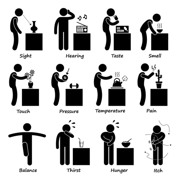 Pictogram Pictogrampictogrammen voor menselijke zintuigen — Stockvector