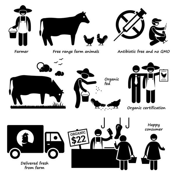 Natural Organic Food Meat Beef Chicken Poultry Stick Figure Pictogram Icons — Stock Vector